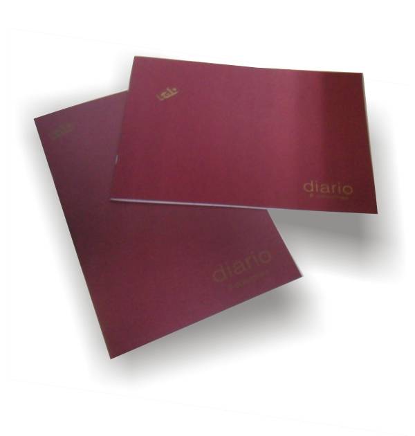 Libro De Contabilidad Rab Tapa Flexible Oficio Apaisado -3322-